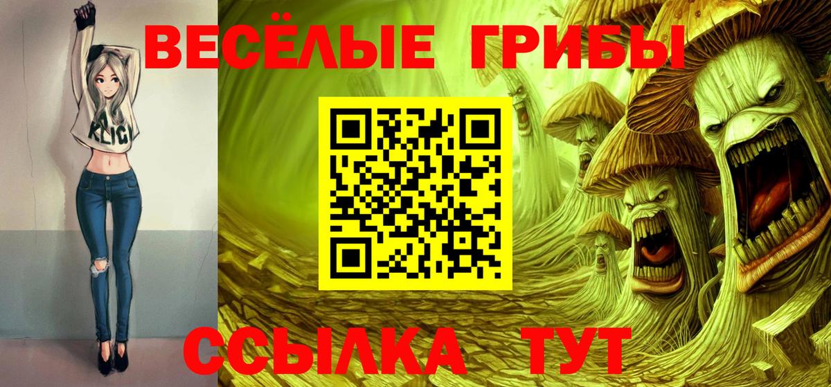 Галлюциногенные грибы Magic Shrooms Абакан